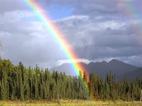 Why do rainbows dissappear if you stare at them? | Science Questions