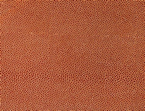 premium photo cellular surface