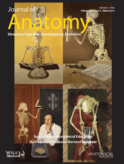 Human body preservation – old and new techniques - Brenner - 2014 ...