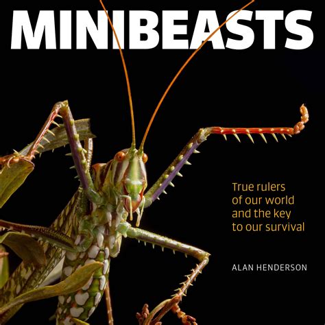 Minibeasts - Exisle Publishing