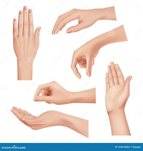 Hands Gestures. Female Caring Skin Palm and Fingers Nails Woman
