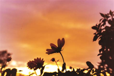 Things to Do in Dar es salaam in 2025 - Top Attractions, Local Food