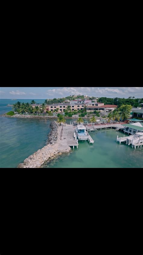 Sonia Gray | Tonight on My Family Mystery …Identity, ethnicity and a