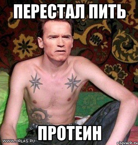 перестал пить протеин, Мем Шварц на нарах - Рисовач .Ру