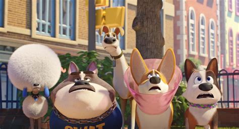 Королевские каникулы (2019) - Фото и кадры из фильма - Фильм.ру