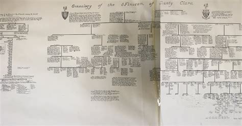 8 Keeling Brothers: Finucane family tree
