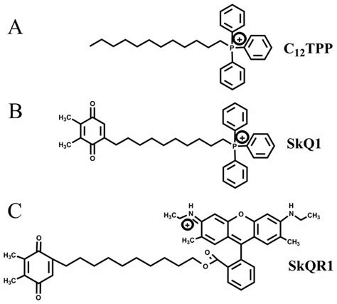 Mitochondria-targeted triphenylphosphonium-based compounds do not ...