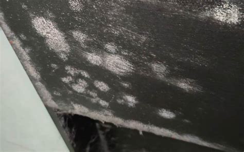 Mold on Furniture | The Causes and Prevention Methods - Environix