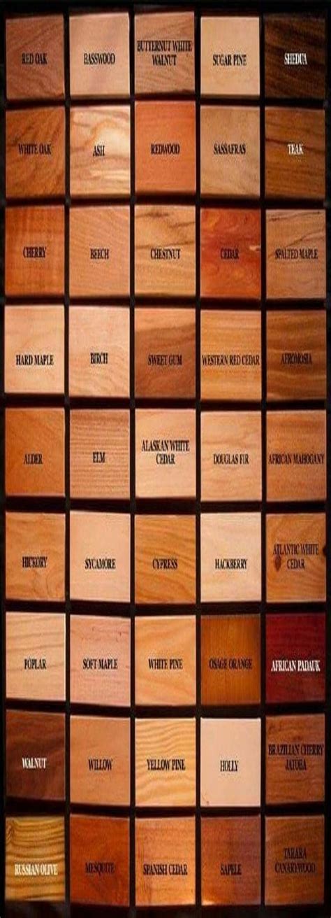 understanding wood types understanding  wood types