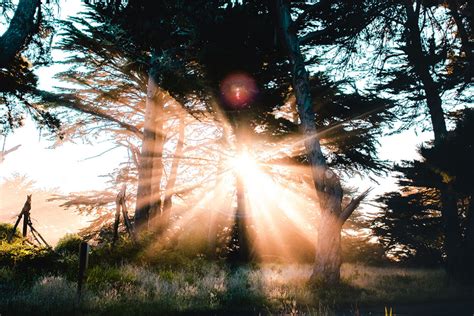 activiteiten  castricum wat gaan  doen wat gaan  doen