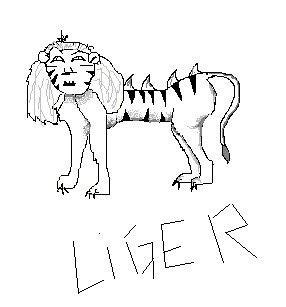 Liger- Napoleon Dynamite by MasterTygan on DeviantArt