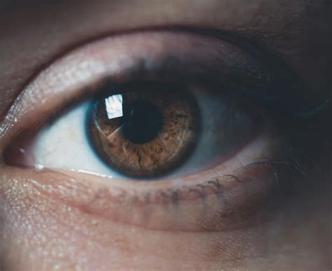 Cornea Photos, Download The BEST Free Cornea Stock Photos & HD Images