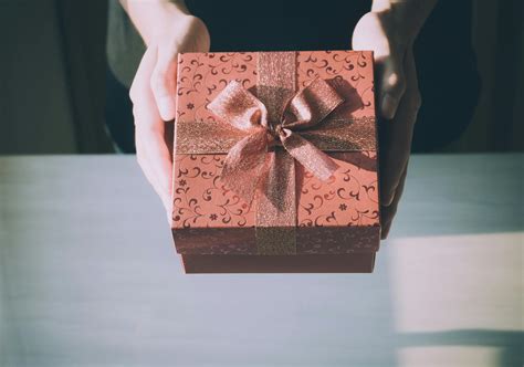 Christmas Bow Photos, Download The BEST Free Christmas Bow Stock Photos ...