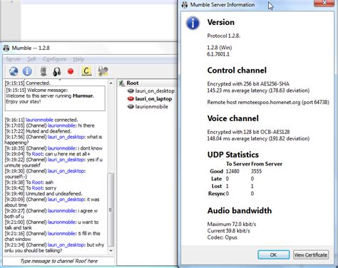 Murmur, tool for simple and secure voice conference | Guidance (archived)