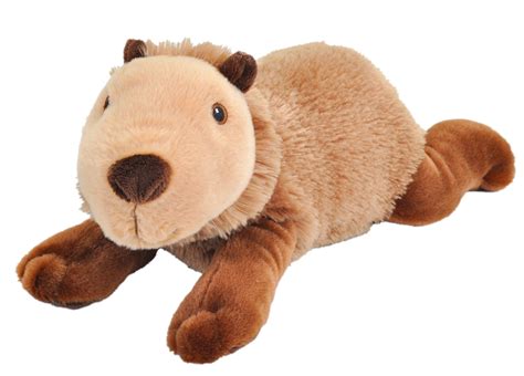 Capybara Eco-friendly Soft Toy – Perth Zoo Shop