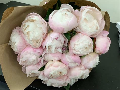 Peonies Hand-crafted Bouquet in Miami Beach, FL | Luxury Flowers Miami