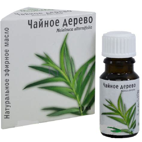 Масло от демодекоза: эвкалиптовое, облепиховое и чайного дерева