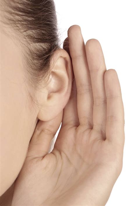 Wie die Form der Ohren beeinflusst, was wir hören - Gesundheit