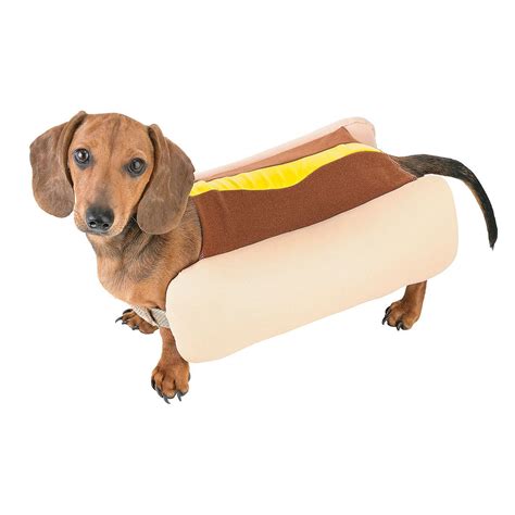 Miniature Dachshund Hot Dog Costume at James Goldsbrough blog