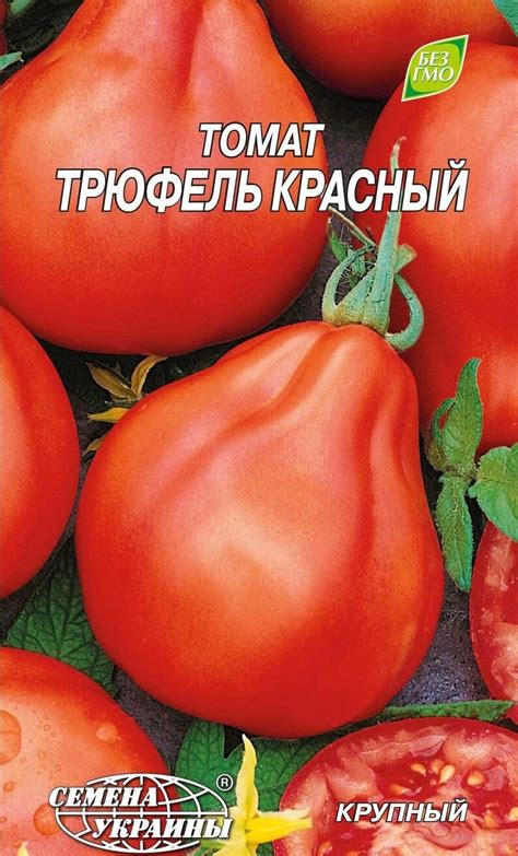 Tomato Seeds Red Truffle Large | Etsy