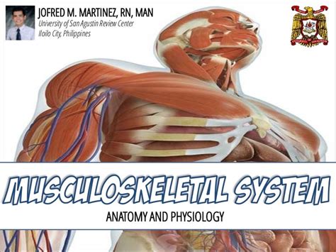 Musculoskeletal System Anatomy and Assessment