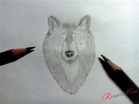 Учимся рисовать волка 🖌 Рисунки карандашом поэтапно