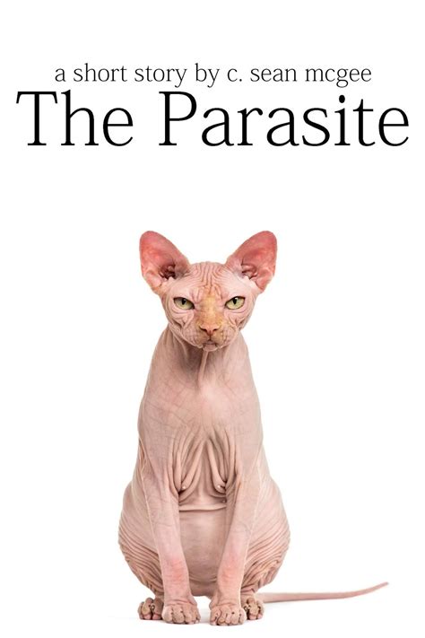 The Echo in the Pit: The Parasite - is released