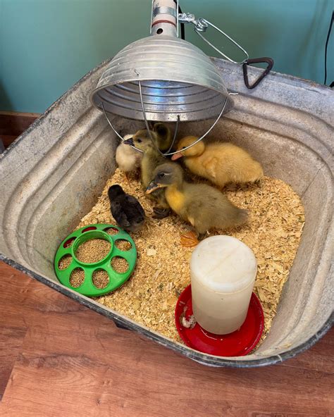 Washington County Insider