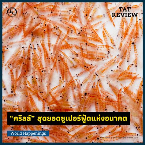 “คริลล์” สุดยอดซูเปอร์ฟู้ดแห่งอนาคต – TAT Review Magazine