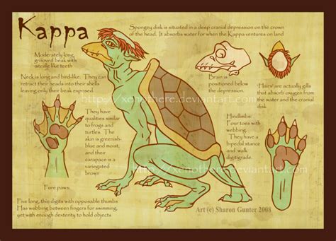 Kappa info sheet by Xenothere on DeviantArt | Japanese mythical ...