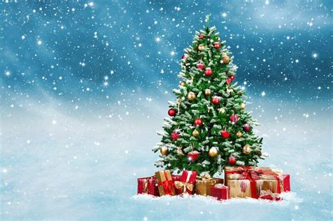 » Frases de natal