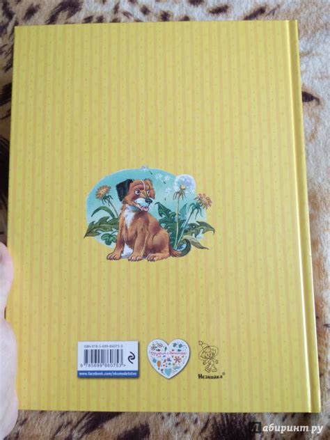 Книга: Мишкина каша - Николай Носов. Купить книгу, читать рецензии ...