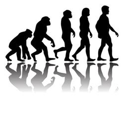 Biological Evolution - Evolution 101