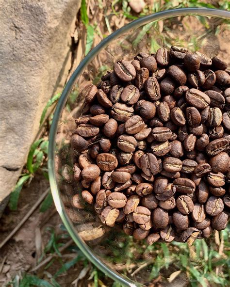 What's your coffee roasted level do you like? 😁 เรามีเมล็ดกาแฟ 3 ระดับ