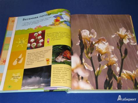 Книга: Природа. Моя первая энциклопедия - . Купить книгу, читать ...