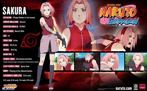Haruno Sakura - NARUTO - HD Wallpaper #650132 - Zerochan Anime Image Board