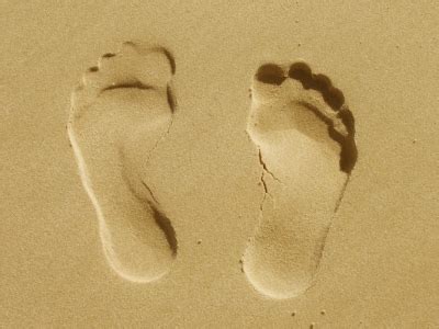 The Soles of Your Feet - Prema Dharma