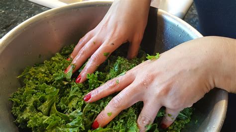 20160622_152631 – Basil & Roses