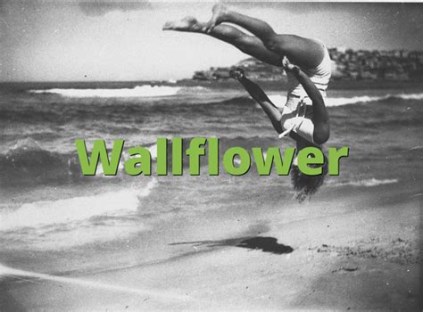 Wallflower Meaning » Slang term definition & example usage » Slang.org