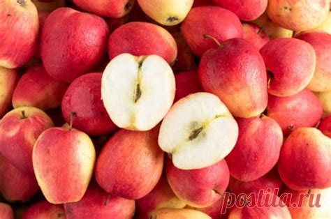 Вкус на всю зиму. Топ-7 самых долго хранящихся сортов яблок. Какие плод ...