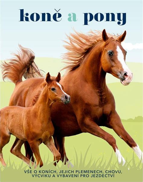 Koně a pony: Vše o koních, jejich plemenech, chovu, výcviku a vybavení