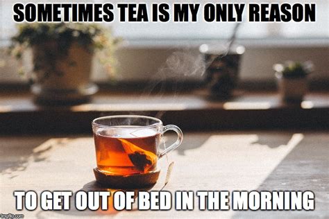 Tea is my reason - Imgflip