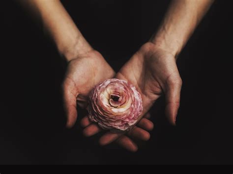 The Art and History of Gifting Flowers