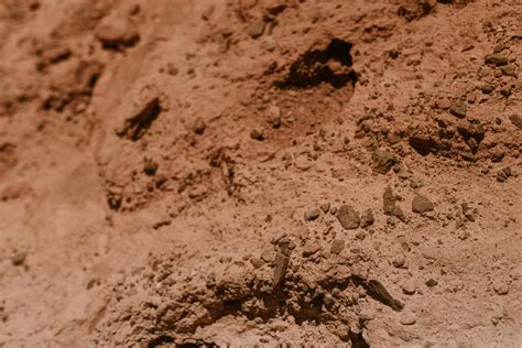 brown soil  close  photography  stock photo