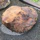 Gilboa Fossils - Atlas Obscura