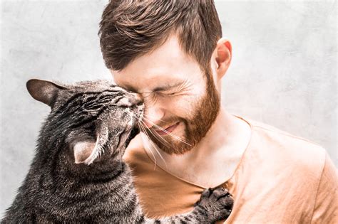 Les risques liés à la salive des chats pour les humains - Les News