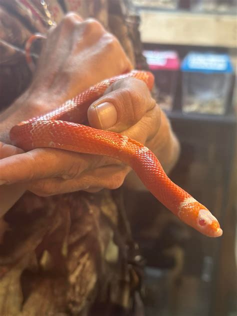 Aqua-Rama Pet Center | Fayetteville NC