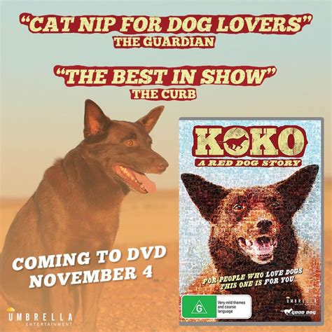 red dog  true story