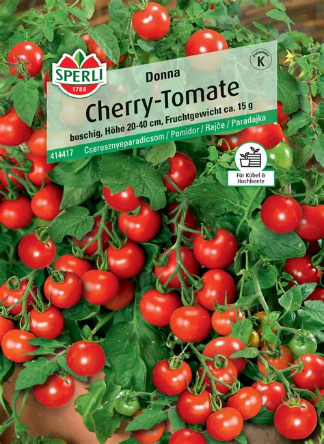 Sperli Cherry-Tomate Donna F1 kaufen | Globus Baumarkt