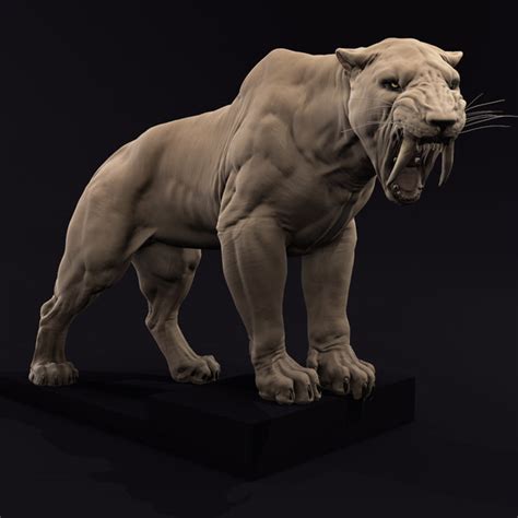 Smilodon 3D Models for Download | TurboSquid